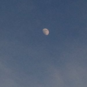 北方（翻唱思筝）