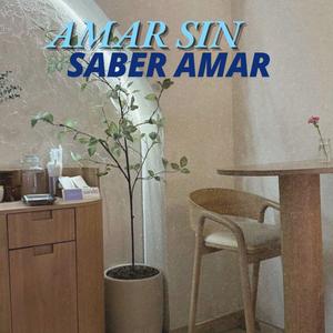 Amar Sin Saber Amar