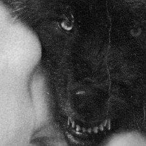 查理我的老伙计