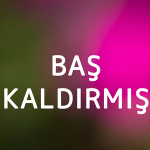BAŞ KALDIRMIŞ