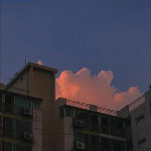 哪里都是你