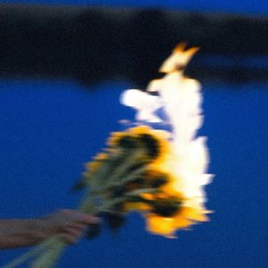 我只想讲好一个故事