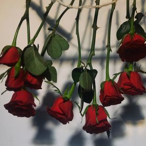 山风会回来-当爱在靠近