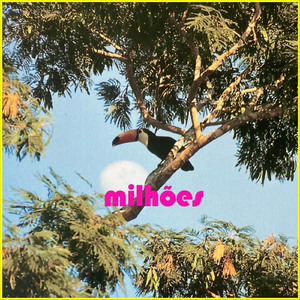 Milhões