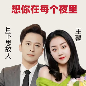想你在每个夜里 (DJ西米对唱版)