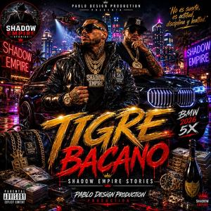 TIGRE BACANO