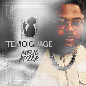 TEMOIGNAGE