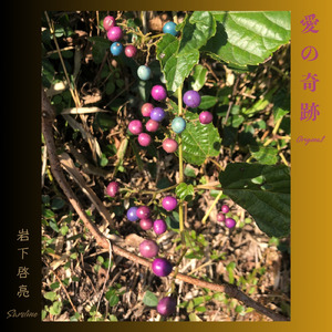 愛の奇跡 (初期バージョン)