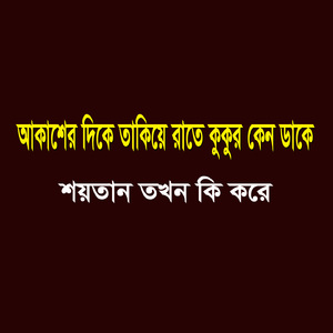 আকাশের দিকে তাকিয়ে রাতে কুকুর কেন ডাকে