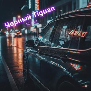 Чорний Tiguan