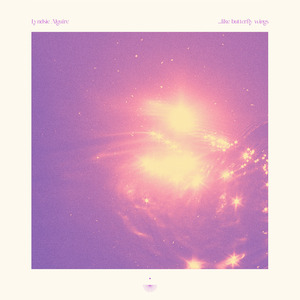 with only the moon to catch us