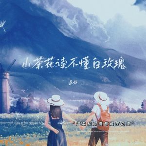 山茶花读不懂白玫瑰（男生版）