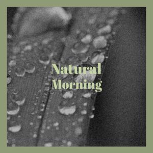 Disaster Meteorological