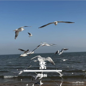无法停靠