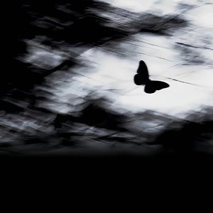 你享受我的沉沦，我旁观你的残忍