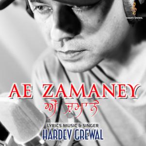 Ae Zamaney