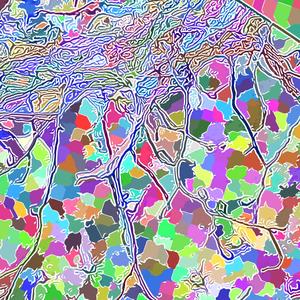 MEGALOMANIA (INSTRUMENTAL)