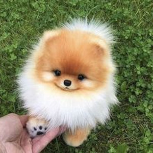 The Tortured Poets Department (slowed)