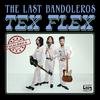 The Last Bandoleros - Vamos a Bailar