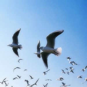 不知所措freestyle(爱错)