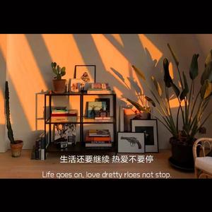 Distinct Minds-“我的乐曲 47”副本 2(1)（安心 remix）