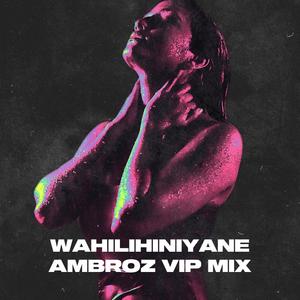 Wahilihiniyane (Ambroz VIP Mix)