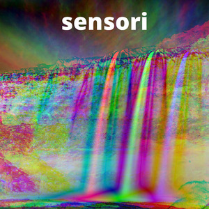 Sensori