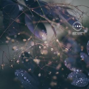 Breath Beneath Layers