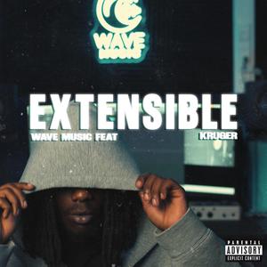 Extensible (feat. Kruger)