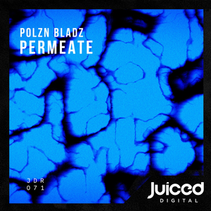 Permeate (Extended Mix)