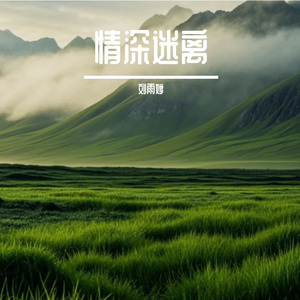 情深迷离