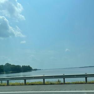 I Really Dont Like You