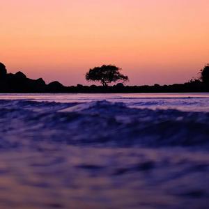 贾维斯-1323（贾维斯 remix）