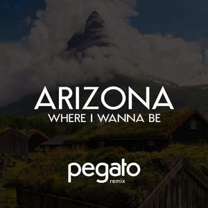 Where i wanna be  (Pegato Remix)