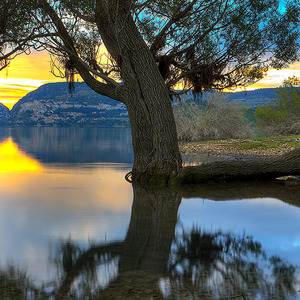 想和你一起在冬天吃火锅