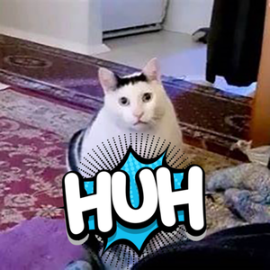 Hey Huh Huh Huh Little Cat Fairy