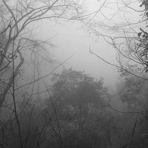 蘇生心臓の儀式（复苏心脏的仪式）