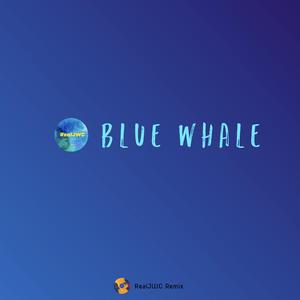 凯瑟喵-Blue whale