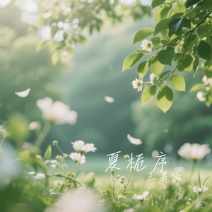 夏栀序