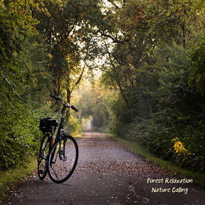 숲속에서 느끼는 휴식