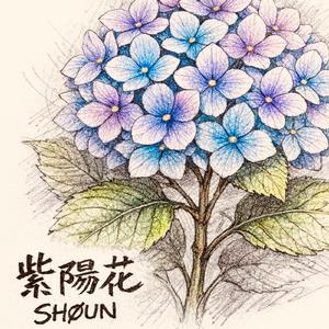 紫陽花