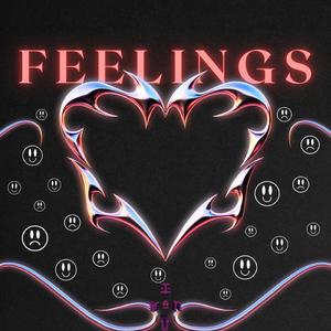 Feelings