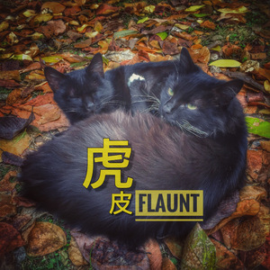过程