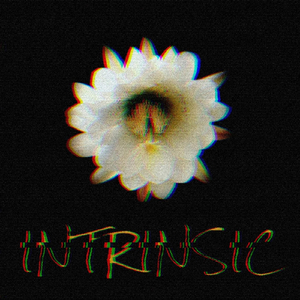 Intrinsic