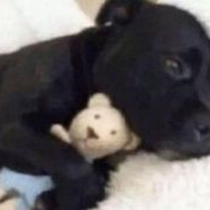 I'm Off That (slowed)