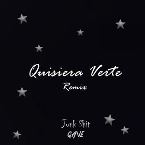 Quisiera Verte (Junk Shit Remix)