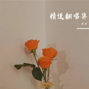 小梦想大梦想 （cover：平安、王紫凝）（翻自 平安）