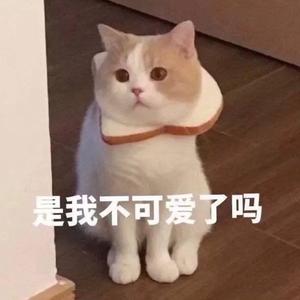 2019无敌大串烧（翻自 Fogisle）