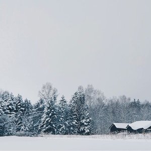 没有告别的告别