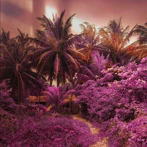 Naturaleza Emocional